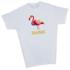 Bahama Flamingo