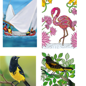 Greeting Card Designs